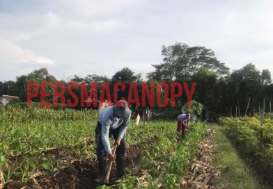 Peran Subsidi Pupuk dalam Mendorong Pembangunan Pertanian dan Meningkatkan Kesejahteraan Petani di Indonesia